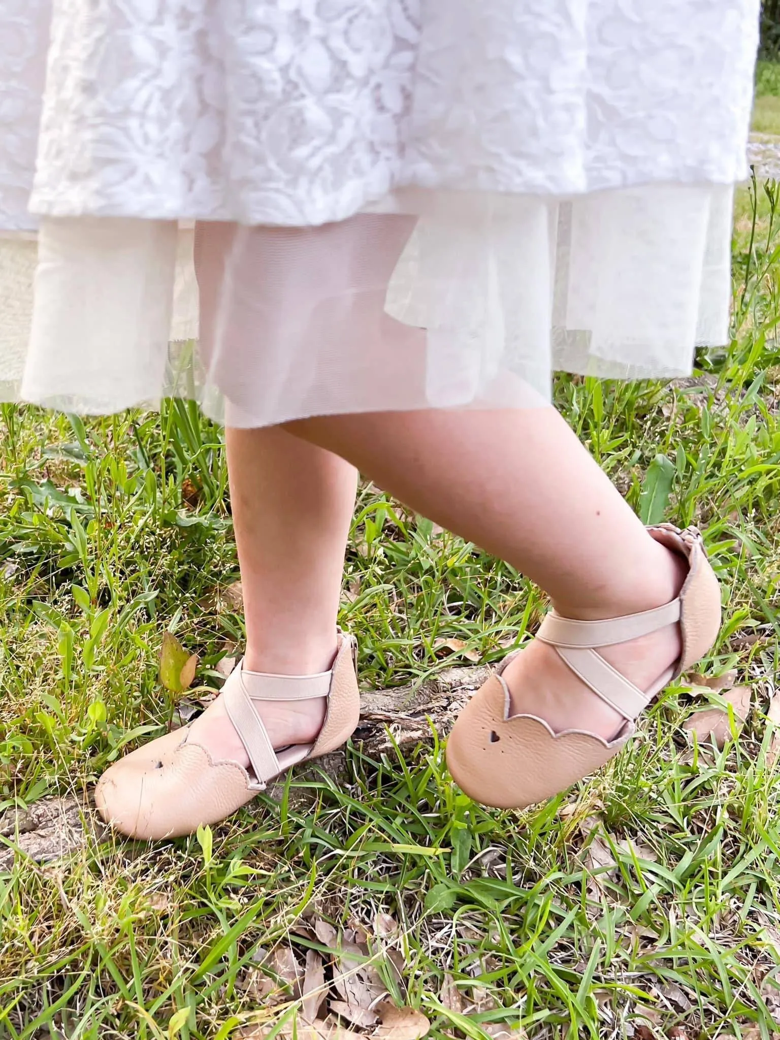 Pre-Order The Sophia